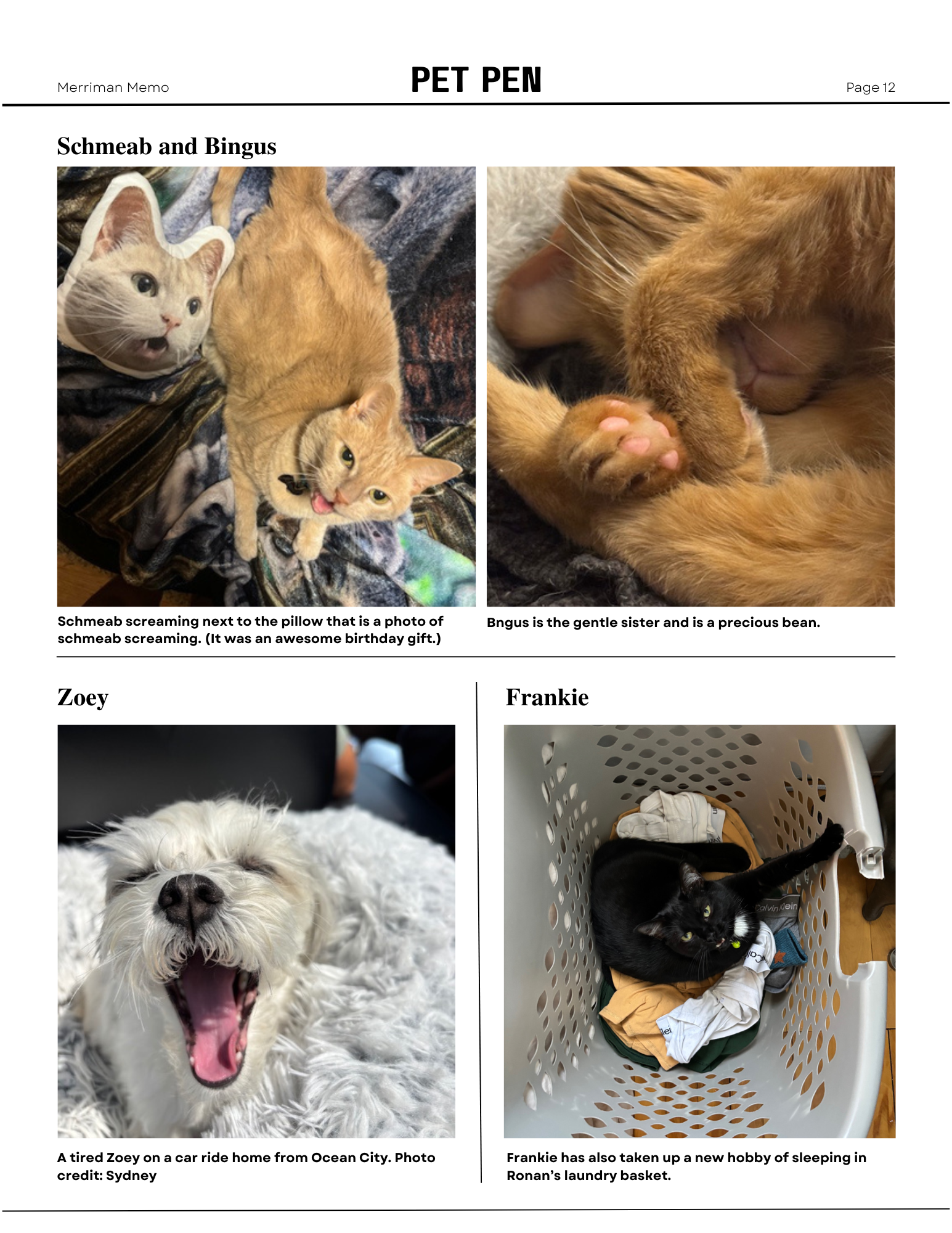 Page Twelve